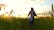 A child boy runs with his mother in a field of golden wheat, playing in nature.