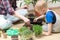 Child boy seeding seeds. At home gardening and learning botany. Sensority and spring time activities