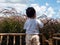 Child boy touch Pennisetum wild flower against blue sky white clouds with happy relaxation time