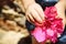 Child with bunch of bougainvillea