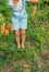 A child with a bunch of carrots in the garden. Selective focus