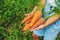 A child with a bunch of carrots in the garden. Selective focus