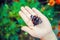 Child with a butterfly. Selective focus. nature.