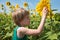 The child carefully examines the sunflower flower. Around the whole will of sunflower flowers. Young biologist