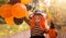 A child in a carnival costume on Halloween with large colored balloons. Little girl in the autumn park. The focus is