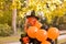 A child in a carnival costume on Halloween with large colored balloons. Little girl in the autumn park. The focus is