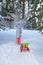 A child carries a red sled through a winter forest