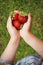 Child carrying three big strawberries