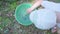 The child caught a small fish in a mountain river net. Beautiful summer landscape. Outdoor recreation.