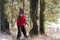 Child chopping an ax with a tree in the forest