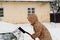 Child cleaning car from the snow. Winter day family weekend