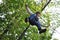 Child in a climbing adventure activity park