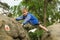 Child climbing rock