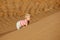 Child climbing sand dune