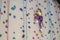 Child climbs on the climbing wall