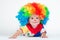 Child clown with a red nose multicolored wig in with balls