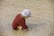 Child collecting shells on tropical beach