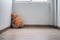 Child concept of sorrow. Teddy bear sitting leaning against the wall of the house alone, look sad and disappointed