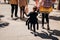 Child in a costume of spider going to the public celebration,attending carnival.Carnival season.Children in costumes traditionally