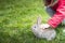 Child cuddling bunny in green grass, with copy space