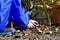 A child cuts a knife mushroom in the woods, near the basket