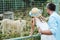 child and dad standing in zoo and looking at lion in cage.