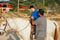 Child with disabilities having fun in an assisted equine therapy session at an equestrian center.