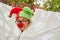 Child disguised as a funny court jester in carnival