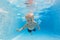 Child dive in pool, jump deep down underwater from poolside