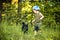 child and dog in forest