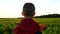 A child dressed as a superhero in a red raincoat runs through green grass during sunset. Camera move up.