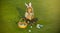 Child with easter eggs in basket outdoor. Boy laying on grass in park. Easter egg hunt. Fynny kids portrait. Bunny kids