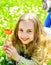 Child enjoy spring sunny day while lying at meadow with daisy flowers. Girl on smiling face holds red tulip flower