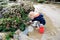 Child Explore Tide Pools with Red Bucket