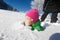 Child with face covered in fresh snow