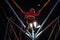 Child at a fair jumping on a Bungee Trampoline during the night