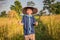 Child farmer is harvesting rice.