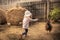 Child farmer playing fun in farm barn with chiken in rustic poultry house in countryside farmyard farming lifestyle