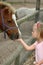Child feeding pony