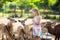 Child feeding wild deer at zoo. Kids feed animals.