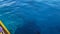 a child feeds fish from a yacht in the red sea. boat trip in Egypt