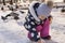 child feeds pigeons and ducks with bread in the yard on a sunny winter day