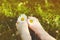 Child feet with daisy flower on green grass in a summer park. In