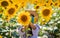 A child in a field of sunflowers in an embroidered shirt. Ukraine Independence Day concept. Selective focus.