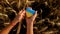 Child in a field of wheat with the flag of Ukraine. Selective focus.