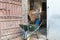 Child fills a barrow with hay