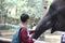 a child fills his vacation time by visiting the zoo, one of the animals in his collection is an elephant