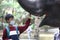 a child fills his vacation time by visiting the zoo, one of the animals in his collection is an elephant