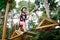 Child in forest adventure park. Kids climb on high rope trail. Agility and climbing outdoor amusement center for children. Little