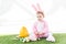 Child in funny bunny costume sitting near yellow ostrich egg, colorful Easter eggs and tulips isolated on white